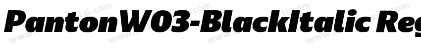 PantonW03-BlackItalic Regular字体转换